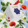 Herbata kwiatowa Otucha na odporność – LUDA