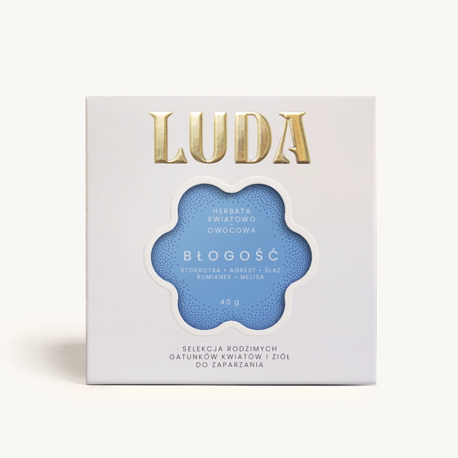 LUDA-PACKSHOT-FRONTY-BLOGOS-WWWC.png