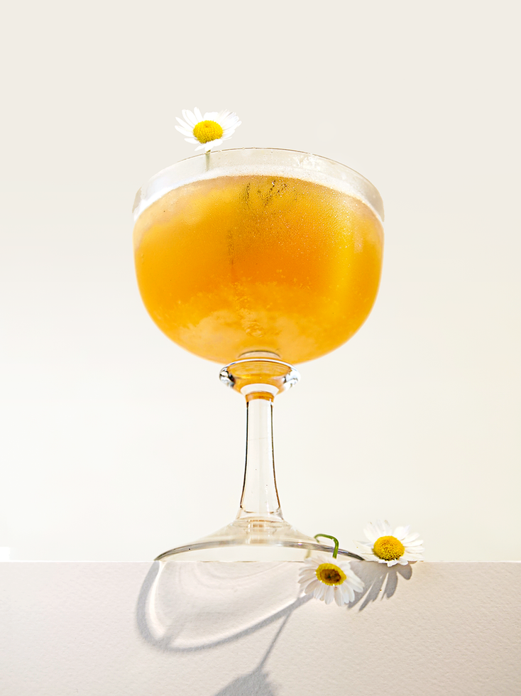Kombucha z herbaty kwiatowej Zmierzch LUDA podana w kieliszku z kwiatem rumianku
